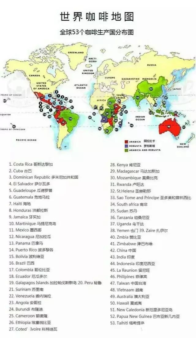 年度征文|写给新手的手冲咖啡入门指南