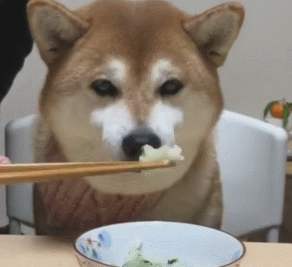 文人总怕笔不逮意,他总怕写出来的歌,画出来的画不足以表达自己.