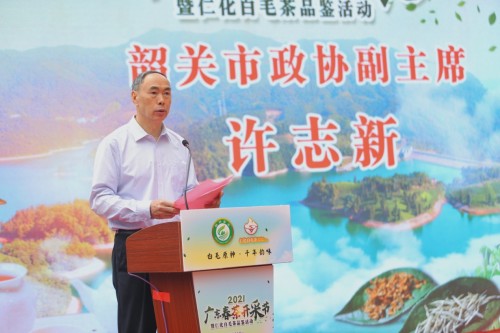 广东春茶开采，仁化白毛茶上新（最新发布）