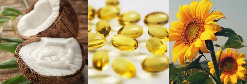 214情人节还没准备好礼物的朋友看过来一招拿下她的芳心丨周末酷生活