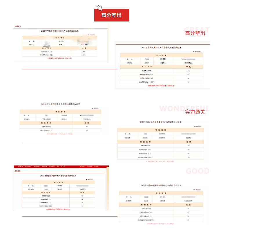 指经过全国统一考试合格并取得《中华人民共和国执业药师职业资格证书