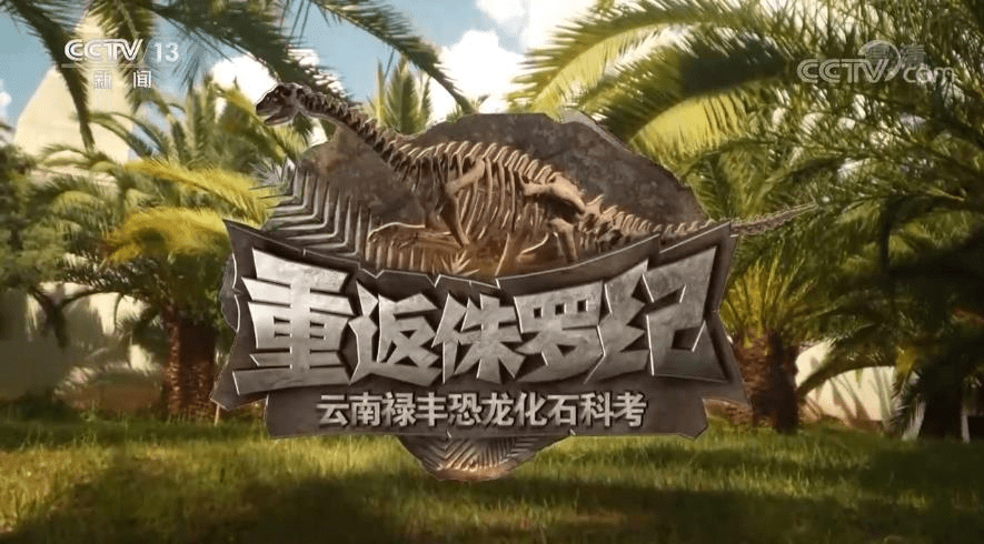 思看3d扫描技术,还原云南禄丰龙,带你穿越亿万年,重返