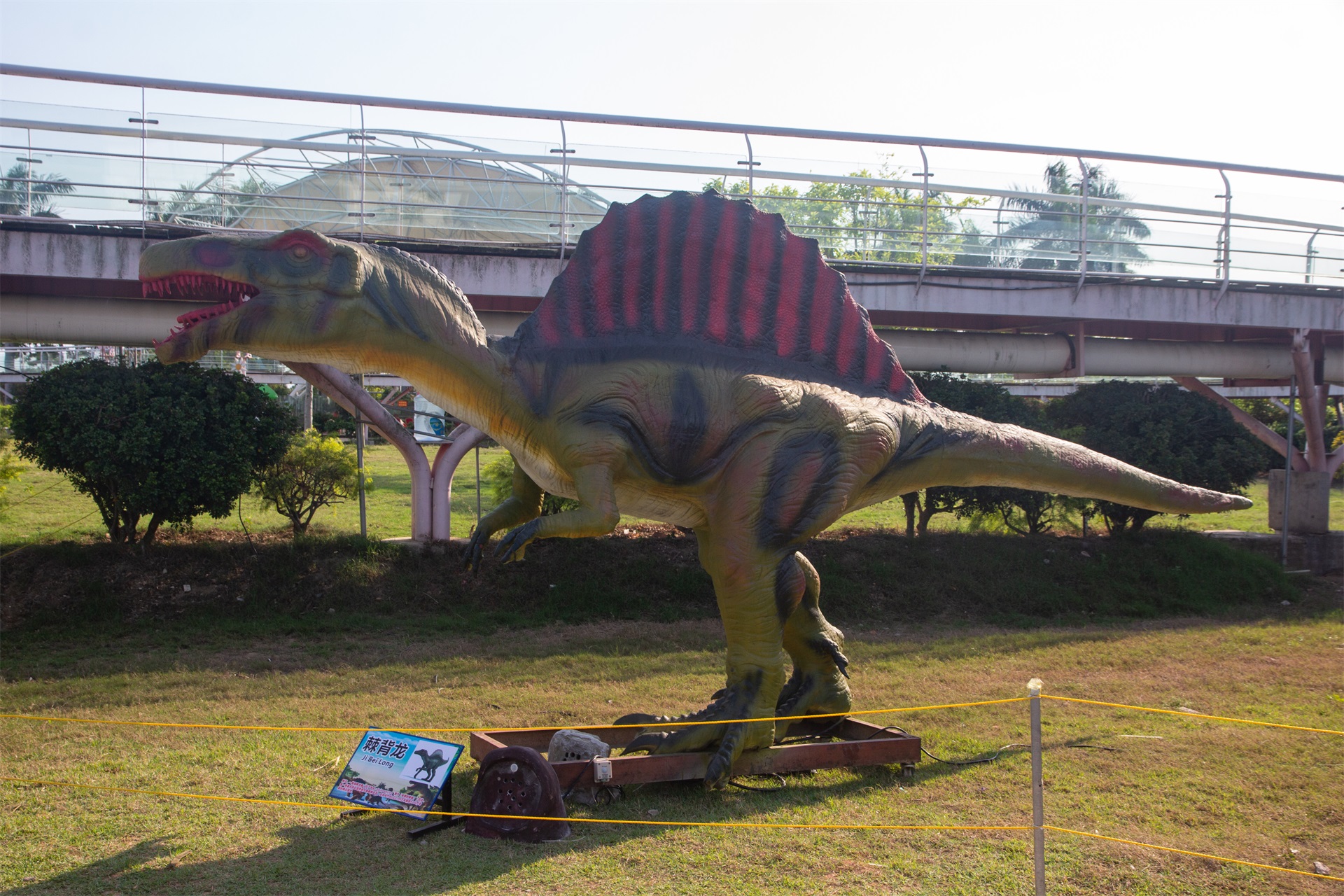 广州南沙新开一个恐龙公园,十几只恐龙能吼能叫还会动