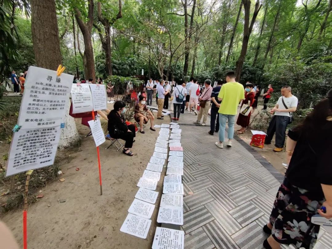 今年初,北京中山公园,上海人民公园,广州天河公园等相亲者集中地相继