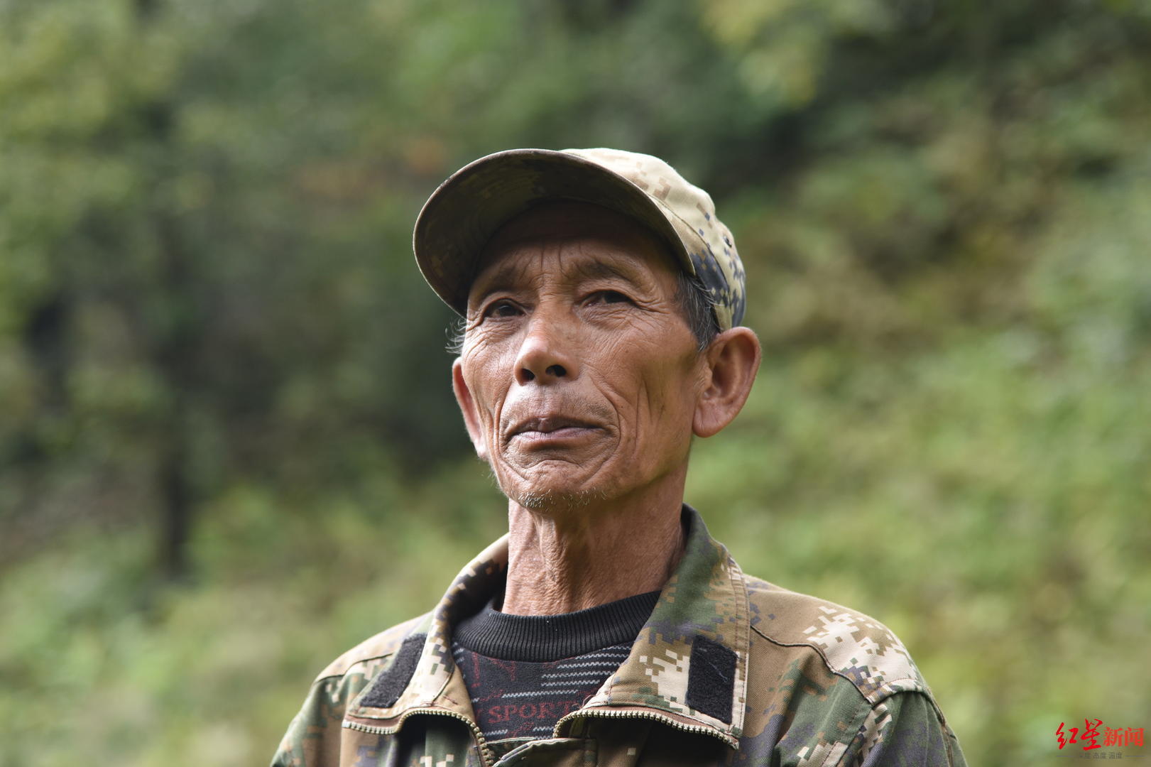 cop15濒危动物篇滇金丝猴曾经的猎人成了它们的守护神