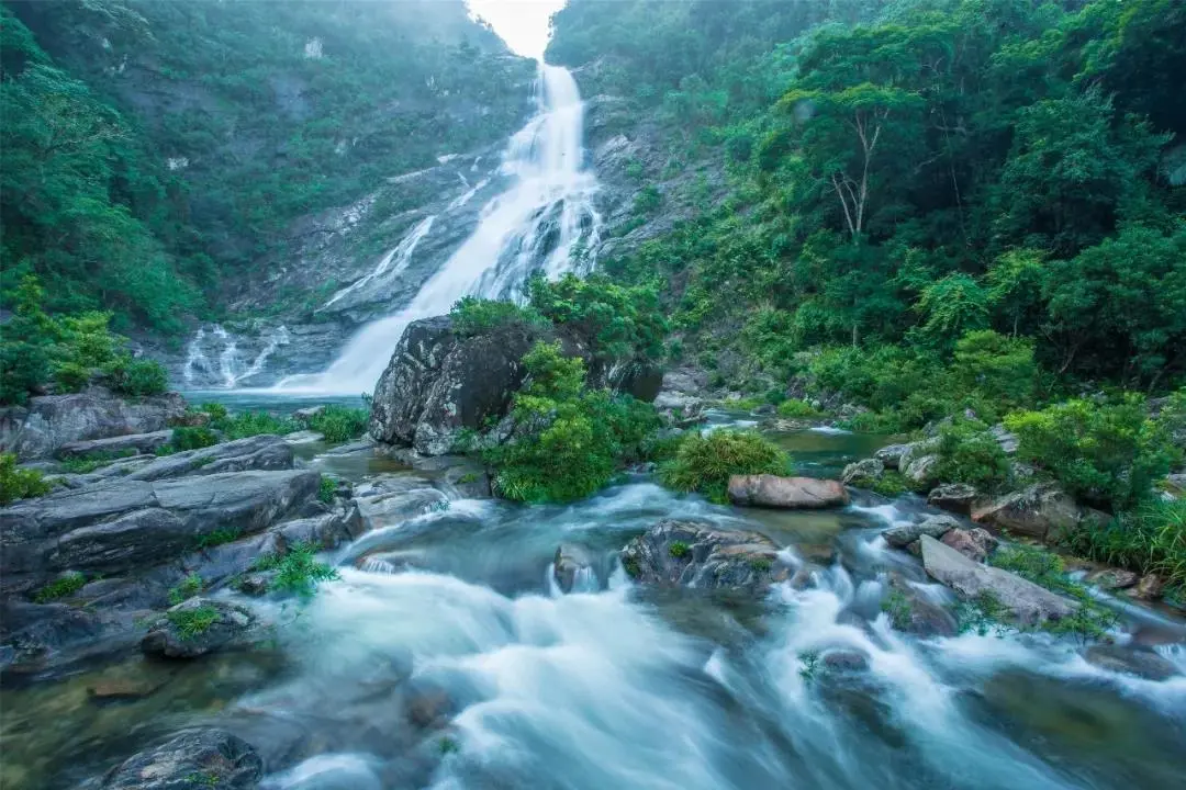 枫果山瀑布所在的吊罗山国家森林公园是海南三大原始热带雨林自然保护