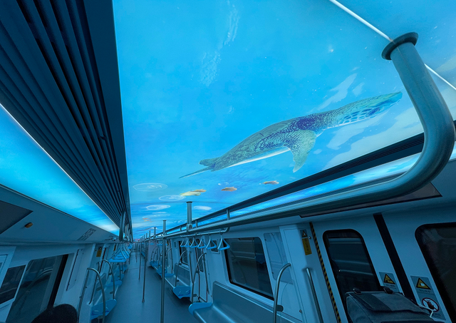 厦门地铁3号线两列主题列车亮相,海豚,大海龟,六区地标均现身