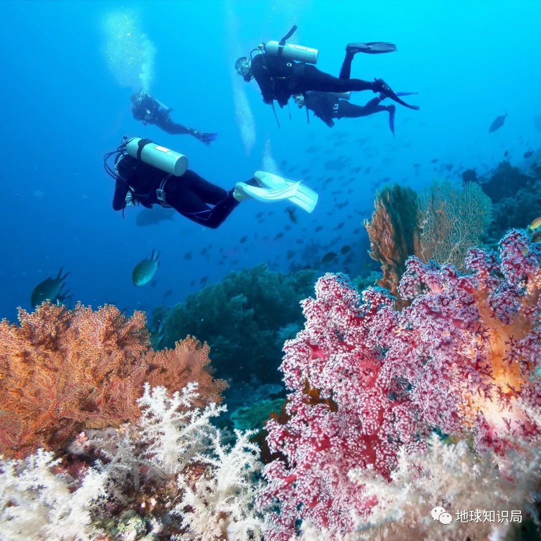 资讯></p></a>正文 随着潜水成为旅行的热门项目,太平洋岛国旅行资源的优势