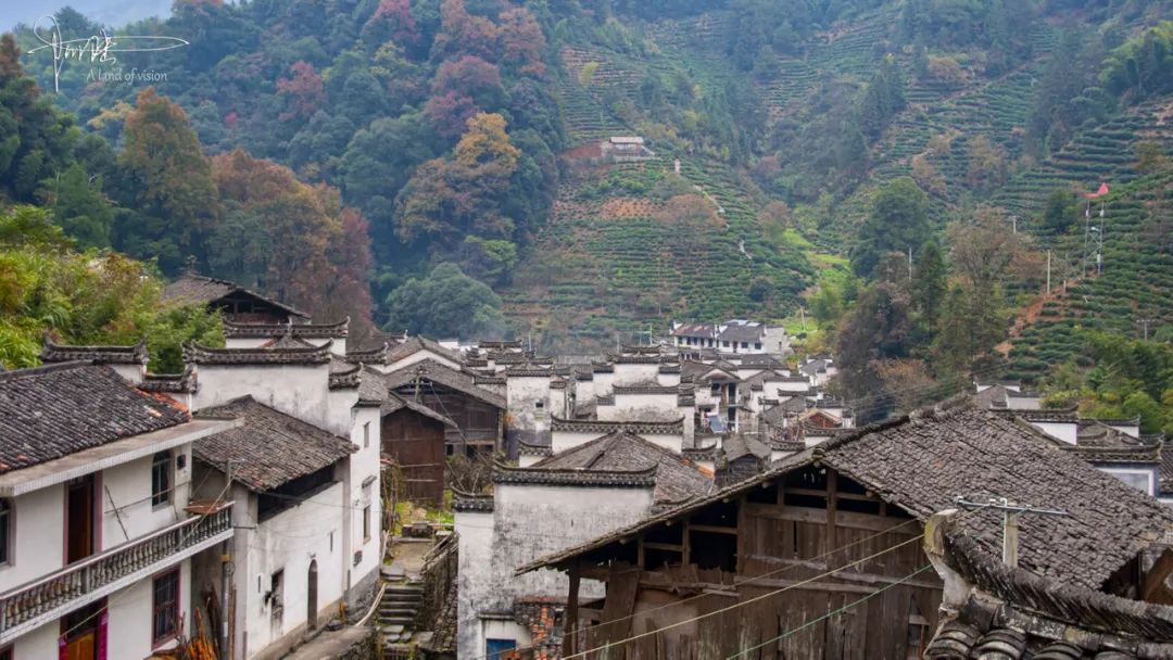 石屋坑位于皖南山岙之中,村子里用树皮搭建的房屋很有特色