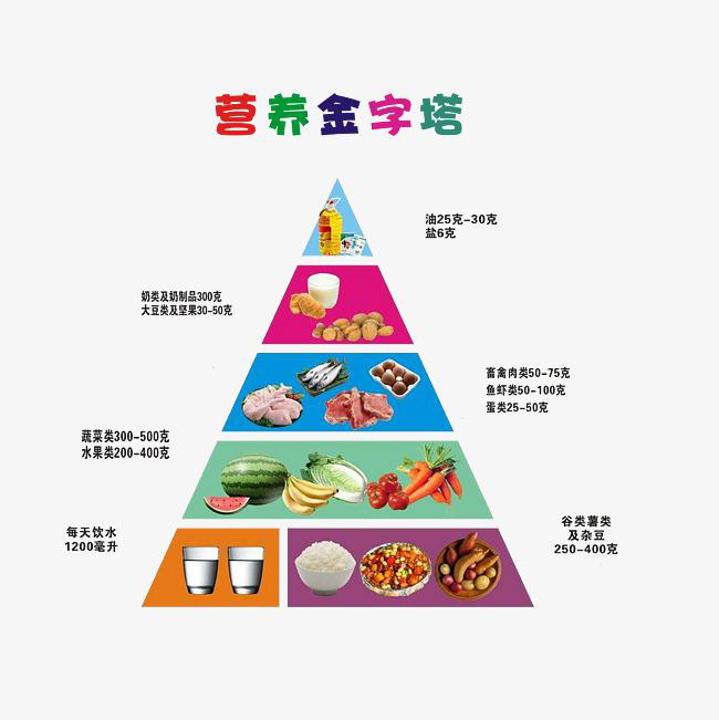 上图是营养金字塔,其实人体对于蛋白质的需求很低,碳水化合物比例