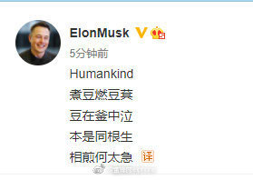 马斯克在推特和微博发中文七步诗humankind煮豆燃豆萁豆在