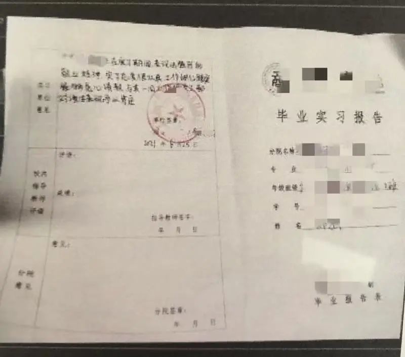 为让实习成绩更好看大学生鉴定伪造公章被拘