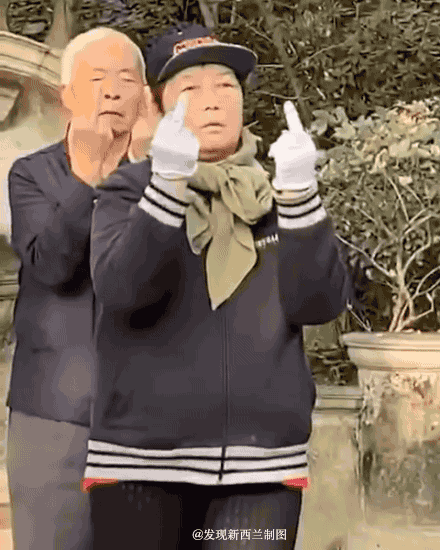 当代野生大爷图鉴