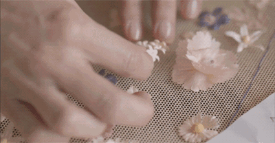 长成这样,要100万,值吗?_凤凰网