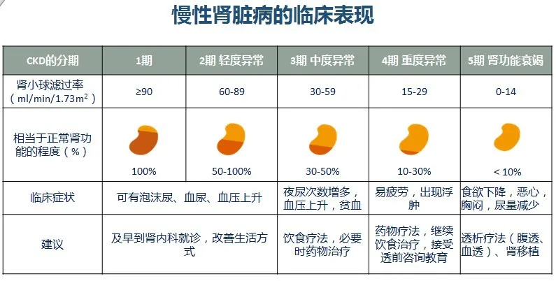 3,肾脏病常见症状 虽然多数肾脏疾病起病阶段常常隐匿,但肾脏亦向我们