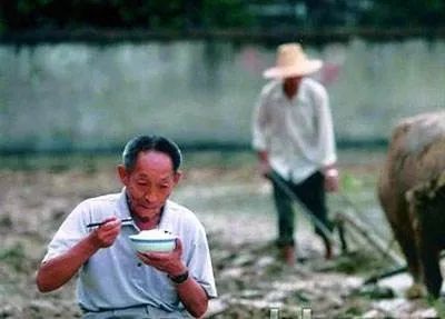 有关杂交水稻的争议不断涌现,年过半百的袁隆平,却还是和年轻时一样