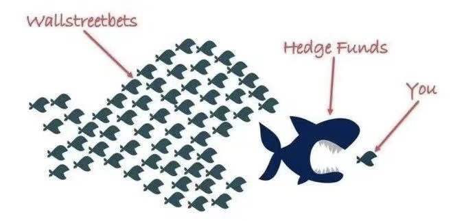 99的反抗聊聊占领国会山与美国散户造反