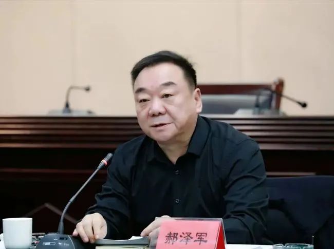 王文海落马,担任过司法厅长被查的官员还有这几人