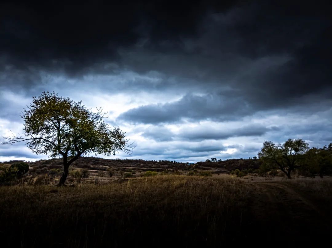毕竟阿斌可不是那些靠拍婚庆或者