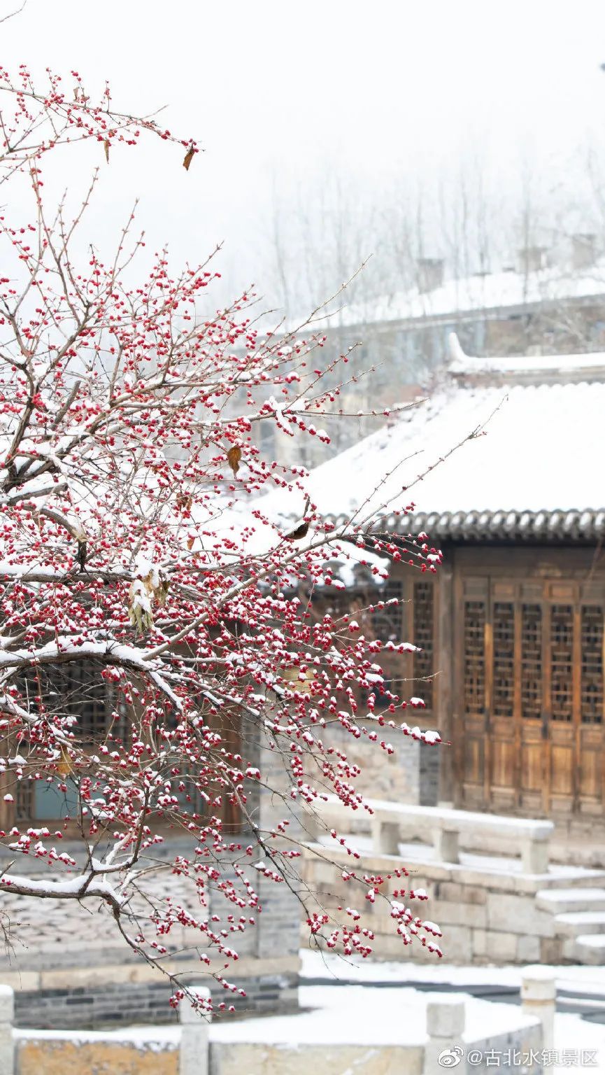 北京又双叒下雪了!除了故宫,这些地方的雪景,一样美美哒