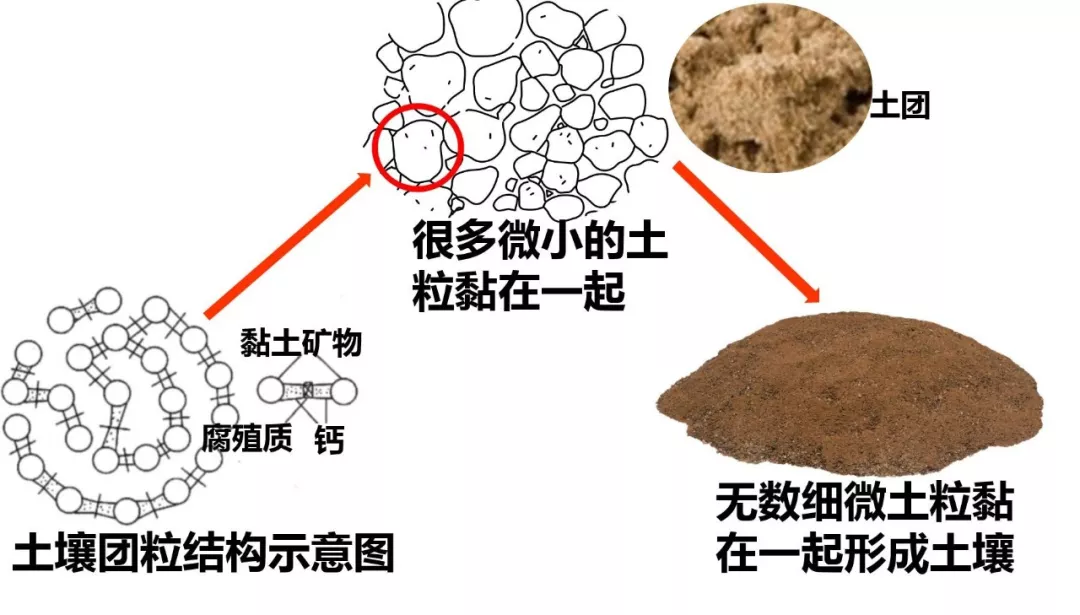 土壤调理市场潜力巨大,土壤团粒结构修复剂或成香饽饽