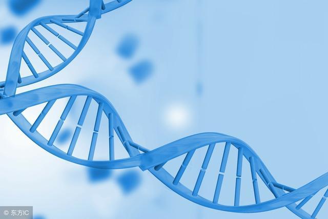 从生物学角度上,转基因究竟是什么 __凤凰网