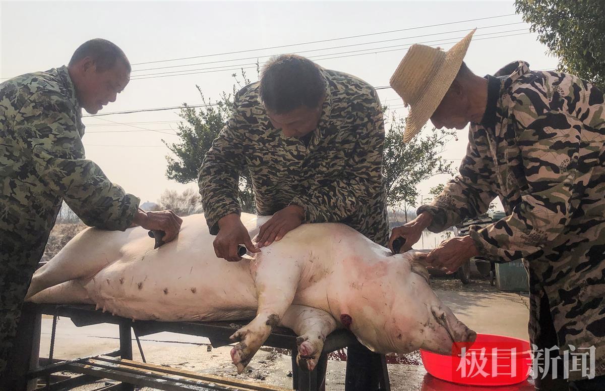 荆州古稀杀猪佬张放桂半个多世纪杀年猪见证民俗变迁和百姓生活变化