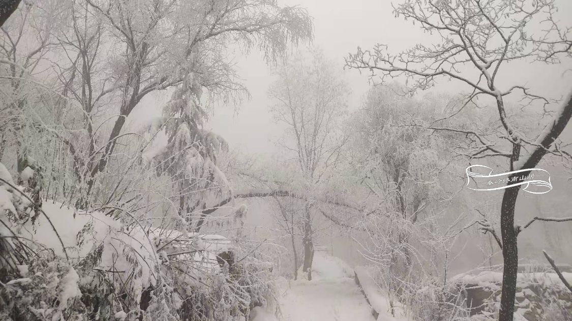 陪网友终南山赏雪偶遇80后住山女居士听她讲隐居修行的故事