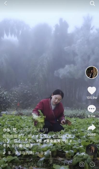 还原真实的乡愁沈丹,乡村生活是否真的"纯粹"?__凤凰网