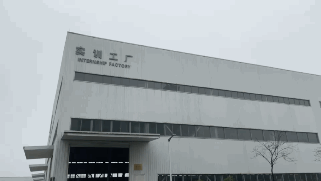 “粤菜师傅”“南粤家政”“广东技工”里的审计身影（最新发布）