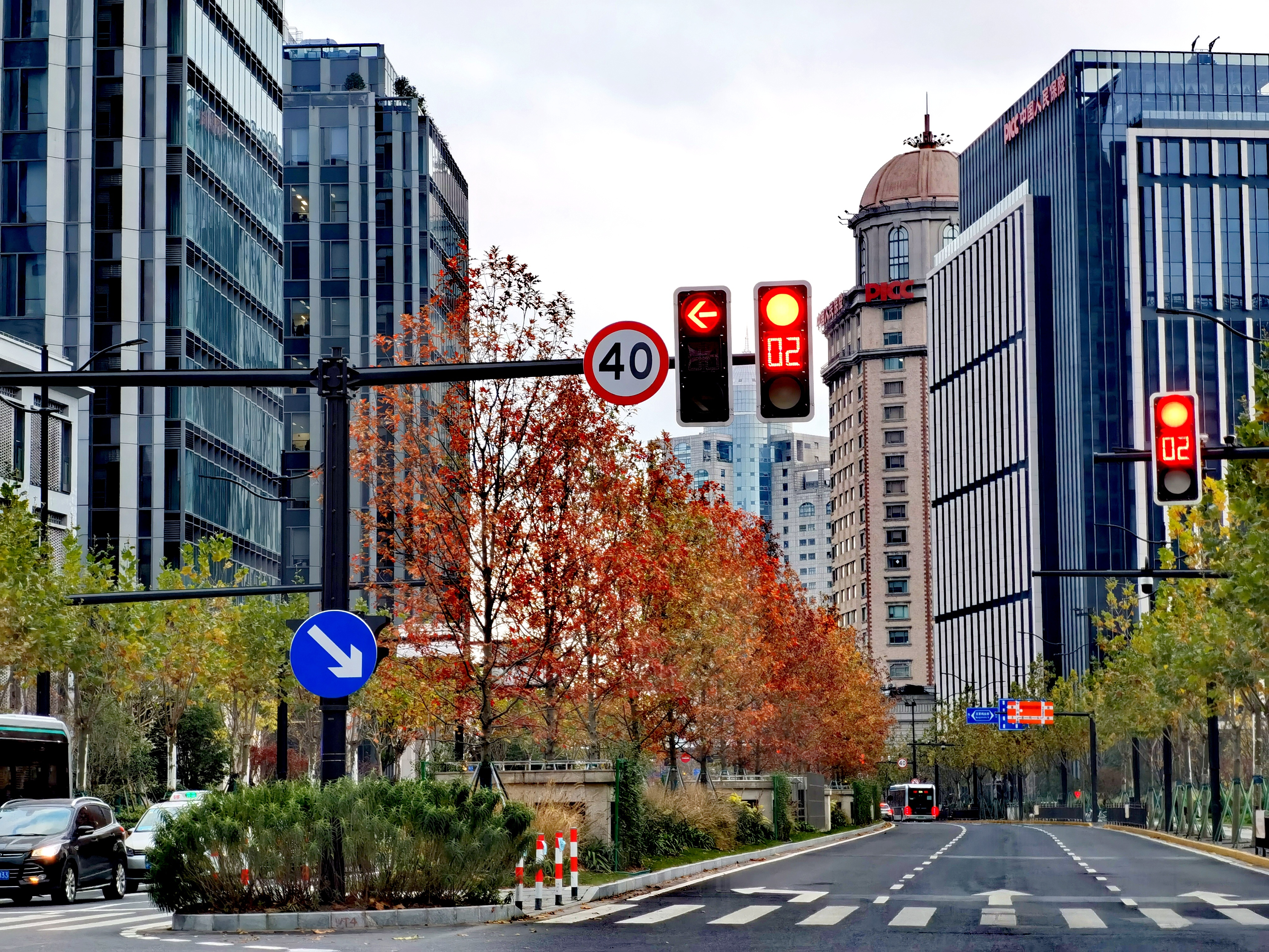 黄浦中山南路:沿线主要为商务区,全线行道树为悬铃木,中分带绿化乔木