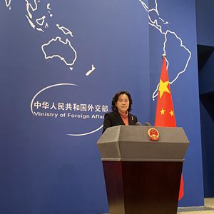 华春莹批美台搞小动作