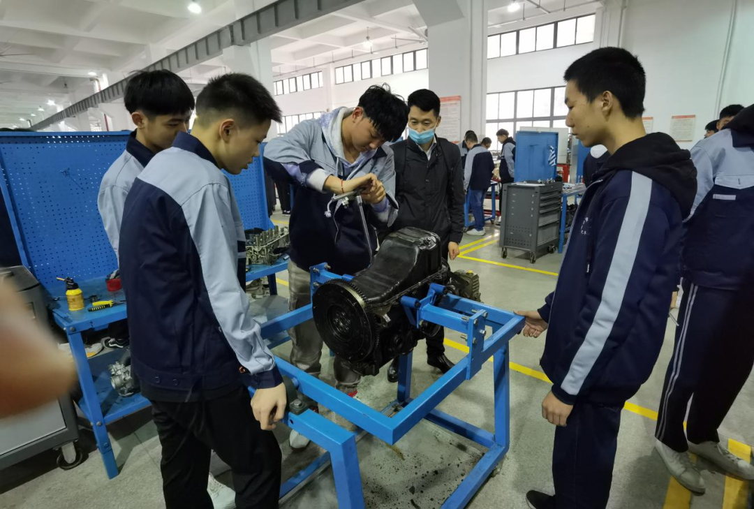 “粤菜师傅”“南粤家政”“广东技工”里的审计身影（最新发布）