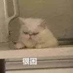 壁纸 动物 猫 猫咪 小猫 桌面 150_150