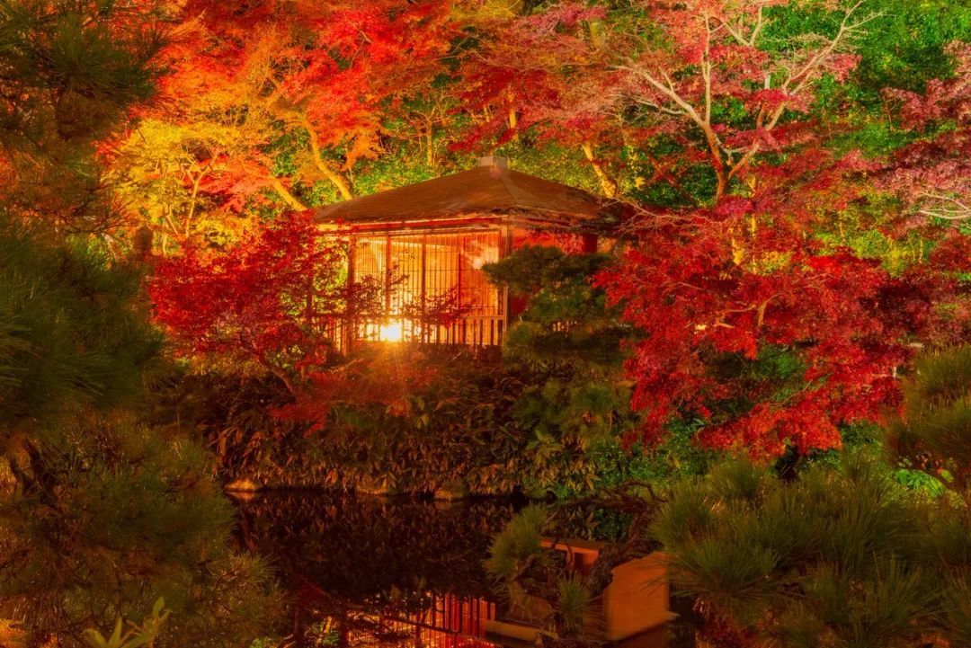 日本47个都道府县,一县一个最佳赏枫地点