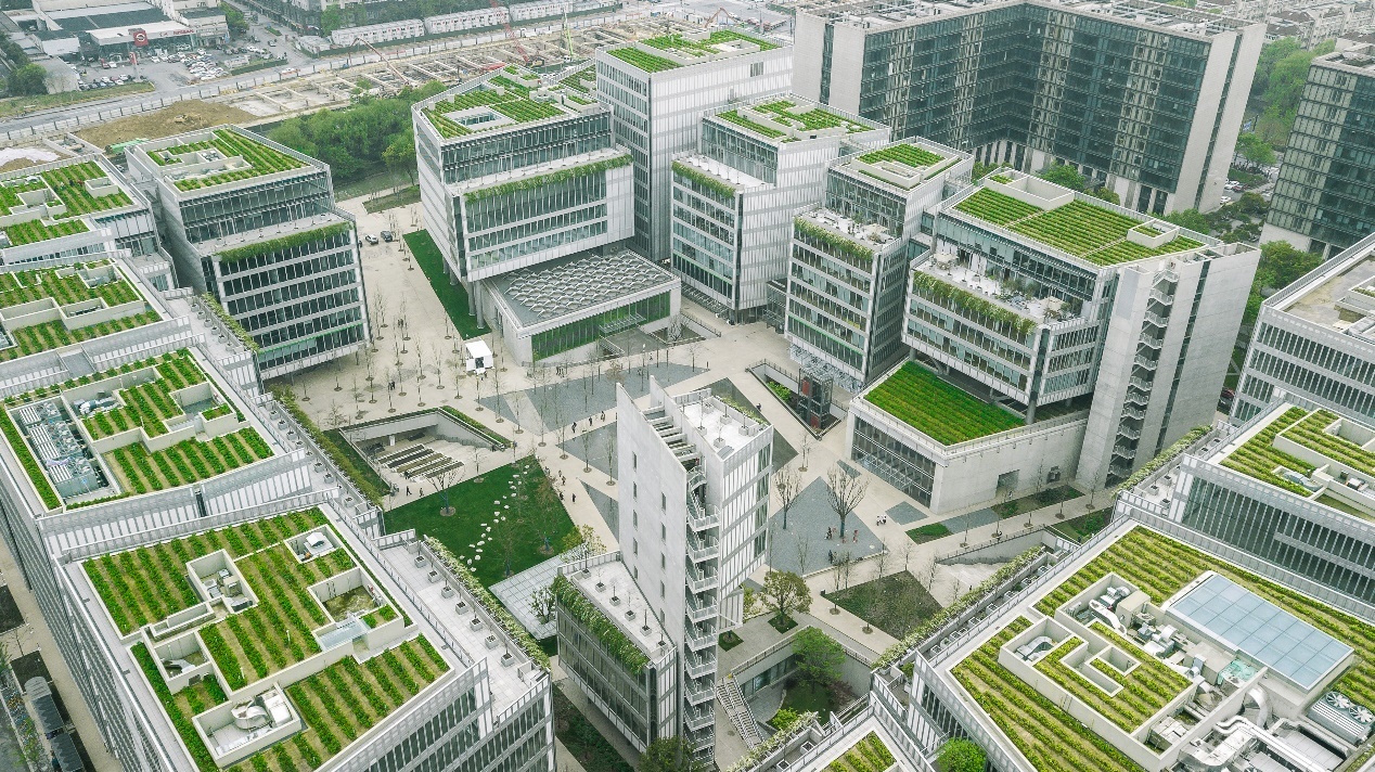 隐藏的瑰宝 江南布衣引领潮流