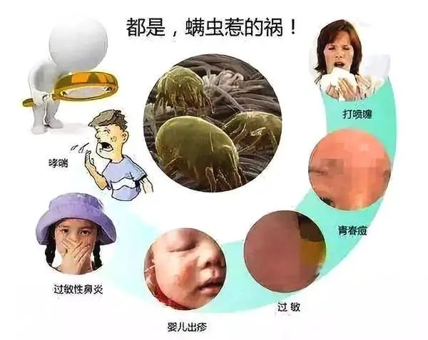 秒降3度的黑科技凉席抗菌除螨驱蚊防虫夏天铺上它一个月省下500空调费