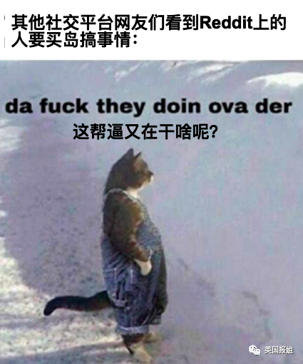 笑死!国外沙雕网友买岛建表情包王国,连总统都安排上了