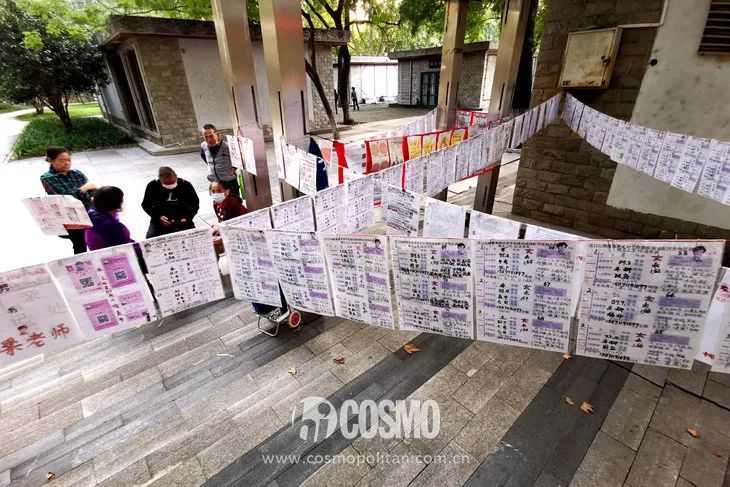 北京中山公园相亲角竞争力自测