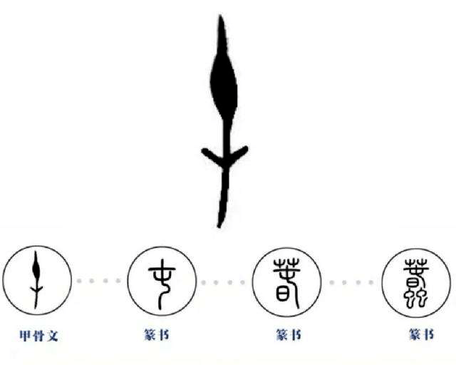 蒋玉斌先生对比了"屯"字的演变过程,发现这个似乎就是篆书中的"屯"字