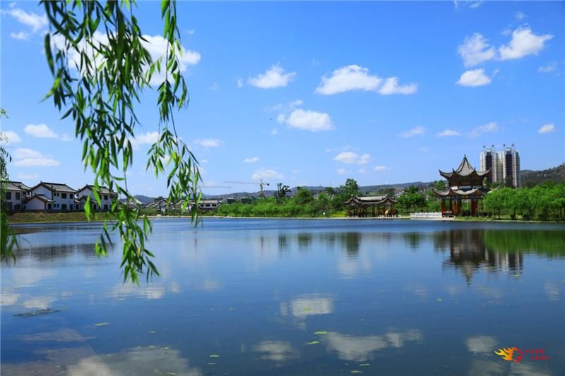 又是一年冬樱烂漫时,大姚蜻蛉湖湿地公园景美如画__凤凰网