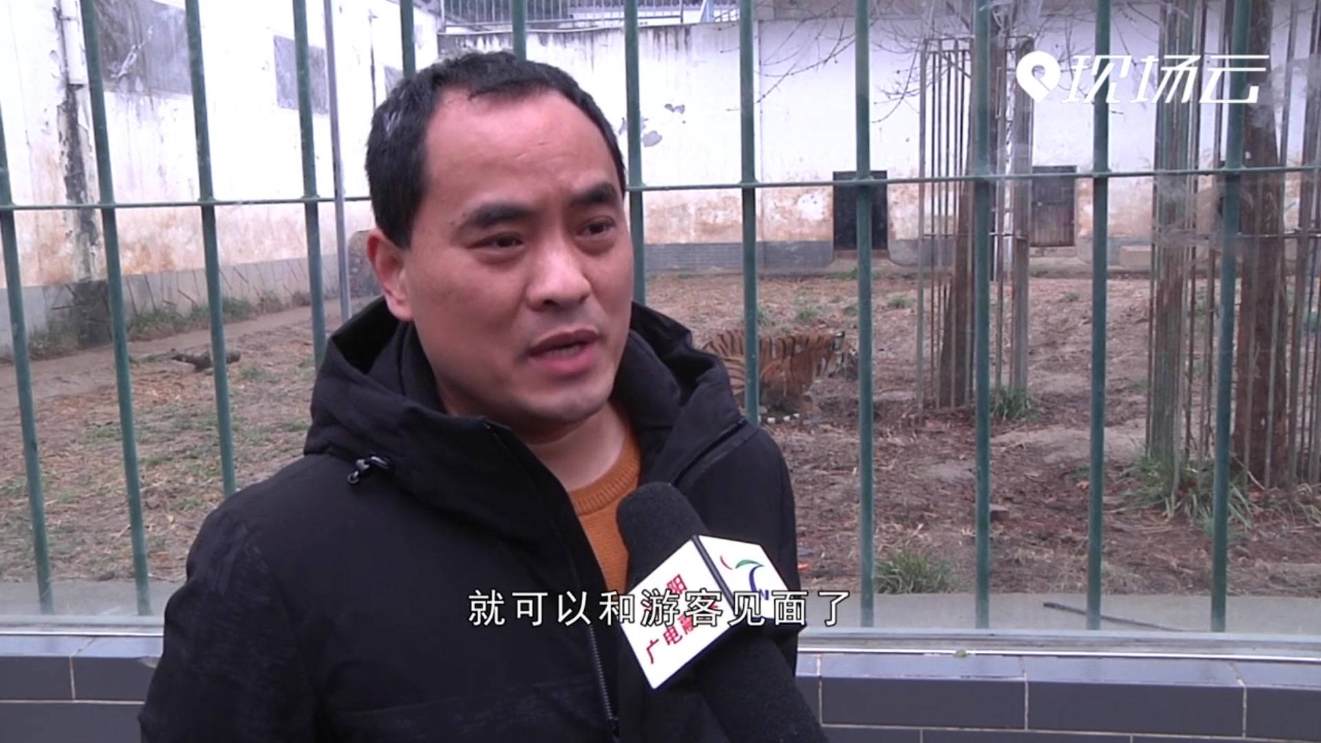 洛阳:洛阳王城公园喜添四只小虎崽