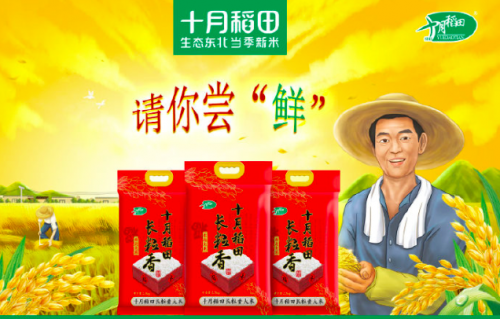 金秋尝鲜季,十月稻田坚守当季新米