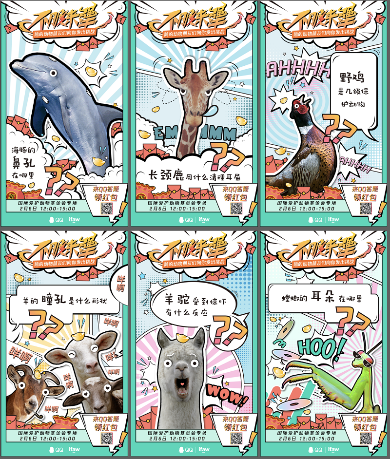 《猫和老鼠》的汤姆的原型是英短还是美短?