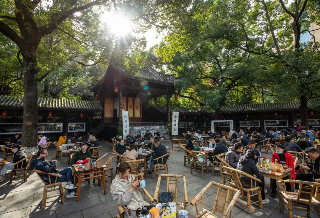 成都茶铺里,氤氲着百年时光,浮沉着市井家国|草地·神州风物