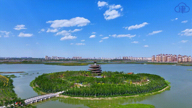 一瓣花，一个港；一座碑，一盘棋