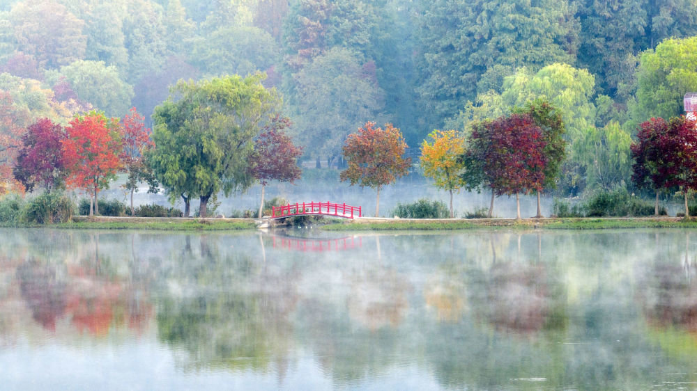 这是11月2日在江苏省南京市中山植物园拍摄的秋日晨景（无人机照片）。新华社发（孙忠南 摄）