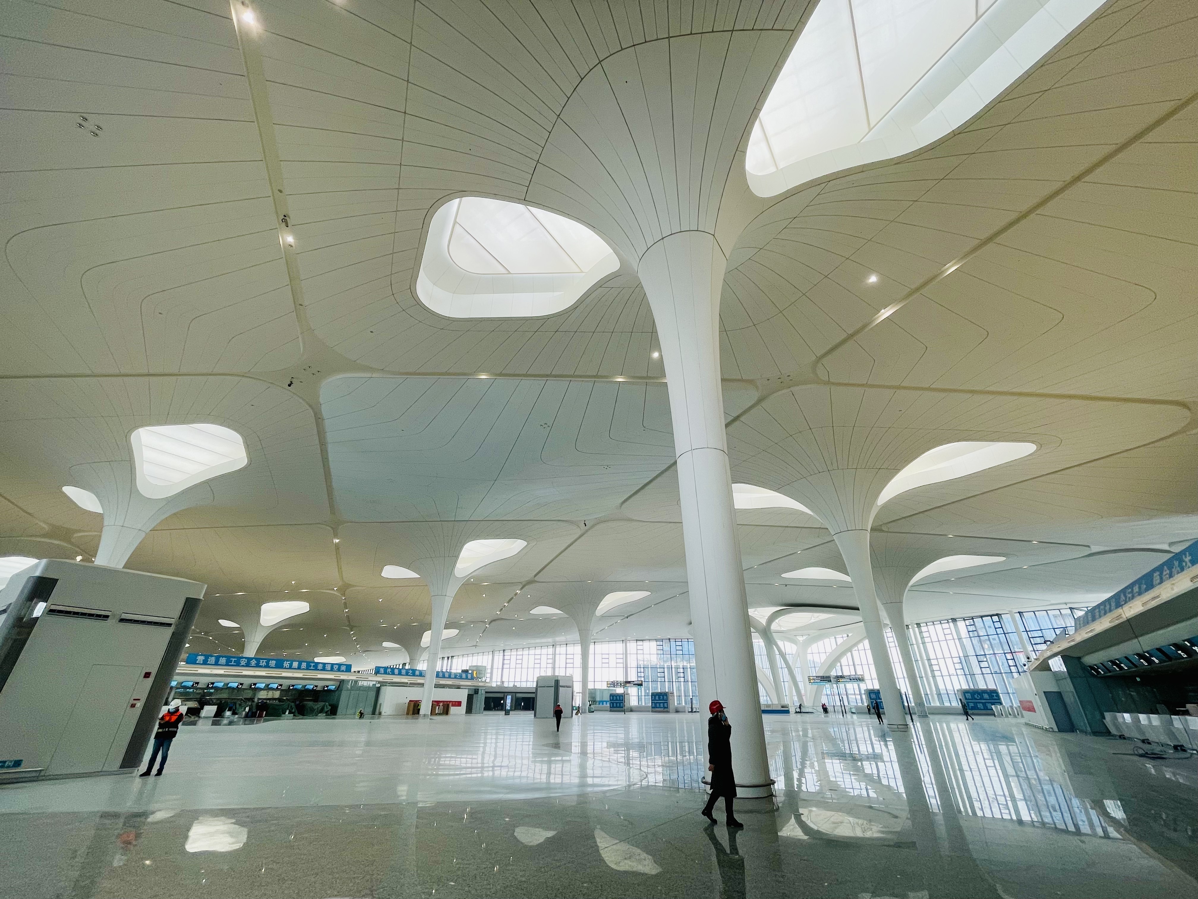接天莲叶步步生花萧山机场的t4航站楼里蕴含着满满的杭州心意