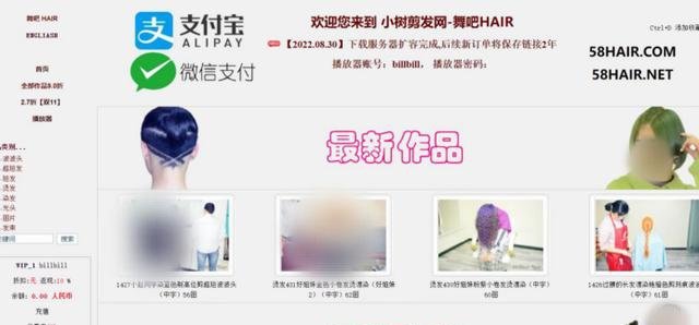 “小树剪发网”首页