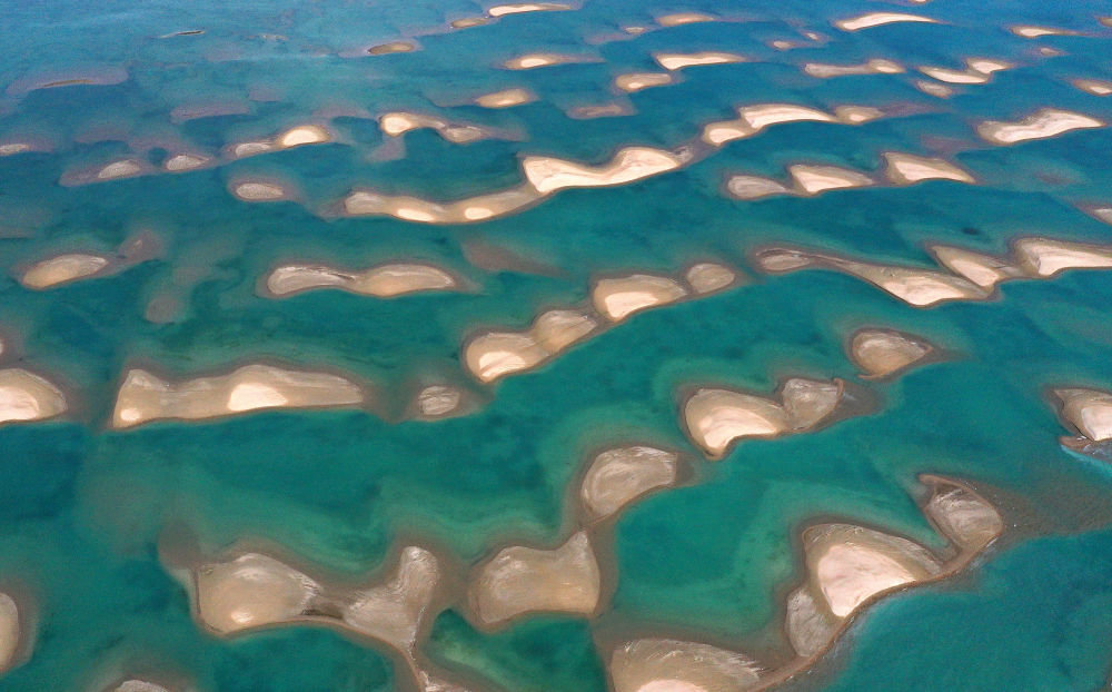 ↑这是青海湖鸟岛湿地一景（2020年7月10日摄）。